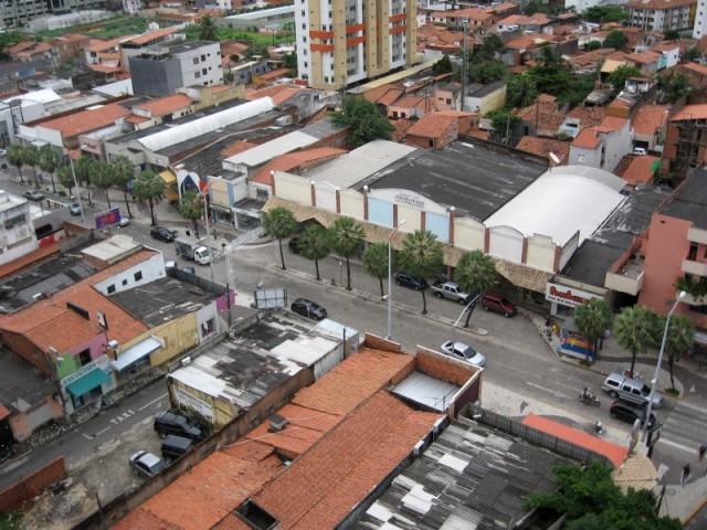 Avenida Monsenhor Tabosa, com suas carnaúbas no canteiro central