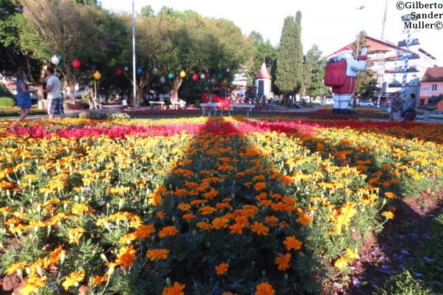 Na serra gaúcha, Nova Petrópolis oferece a beleza das flores.